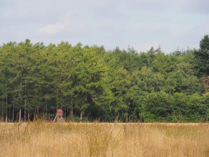 Dwergte (Germany)